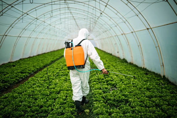 Pest Control Cost in Muncy, PA