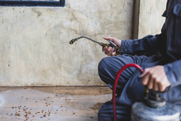 Best Flea Control Services  in Muncy, PA